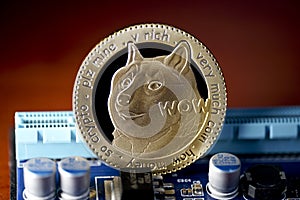 Dogecoin coins