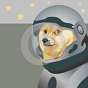 Dogecoin. Shiba Inu in an astronaut spacesuit