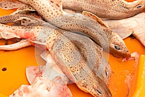 Dogfish in a crate at a market