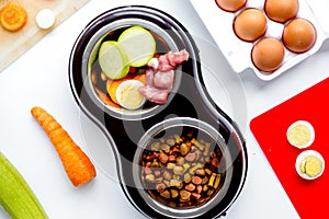 Dogfood set with vegetables, eggs and meat on table background t
