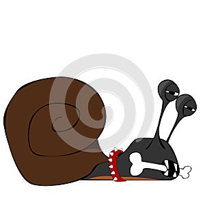 Doggi slug with a bone