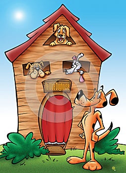 Doghouse