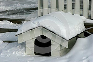 In The Doghouse - Scandinavian style photo