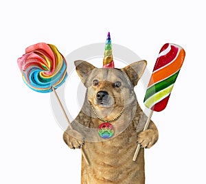 Dogicorn with colored lollipops
