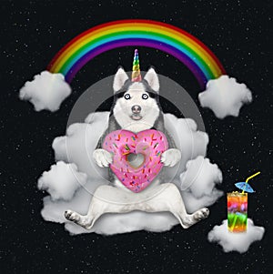 Dogicorn husky with pink donut on cloud