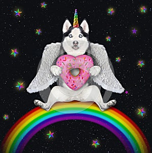 Dogicorn husky with pink donut on rainbow