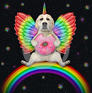 Dogicorn labrador with color wings on rainbow