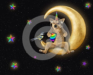 Dogicorn listening to music on moon