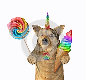 Dogicorn with lollipop and ice cream