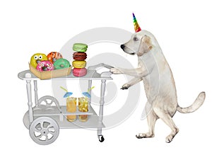 Dogicorn near table trolley with donuts