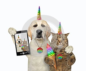 Dogicorn takes selfie with caticorn