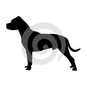 Dogo Argentino Dog Silhouette Vector Found In Map Of South America