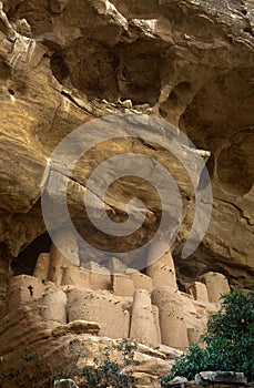 Dogon village, Dogon land, Tireli, Mali, Africa