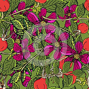 Dogrose berries seamless pattern. Vector background wild rose fruits with green leaf for design label syrup, tea