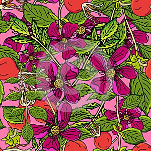 Dogrose berries seamless pattern. Vector background wild rose fruits with green leaf for design label syrup, tea