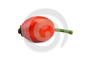 Dogrose berries on a white background.