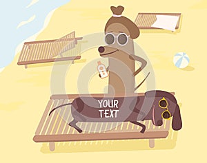 Dogs on beach having summer fun. Vector illustration