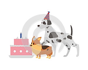 dogs birthday party