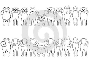 Dogs breed border set line art