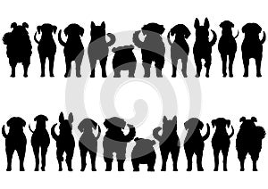 Dogs breed border silhouette set