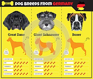 Dogs breed infographics types of dog breeds from Germany.