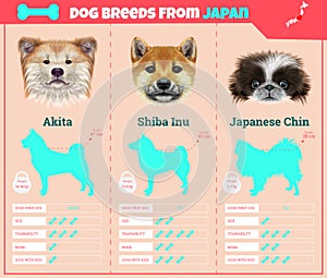 Dogs breed infographics types of dog breeds from Japan. photo