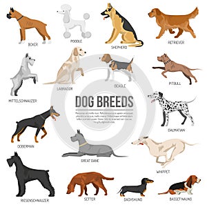 Dogs breed set