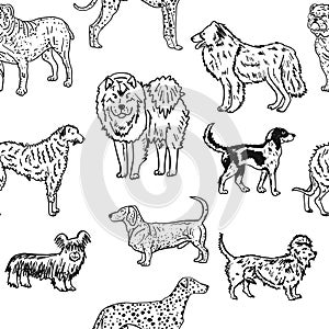 Dogs breeds collection. Vintage style seamless pattern for your design