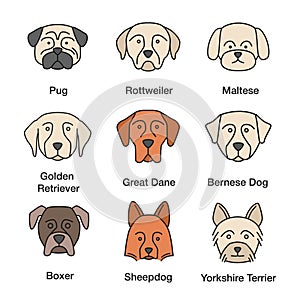 Dogs breeds color icons set