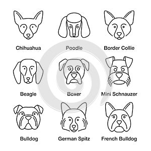 Dogs breeds linear icons set