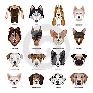 Dogs Breeds Set