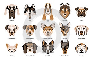 Dogs Breeds Set