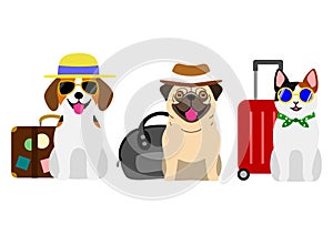 Dogs and cat group going to travel