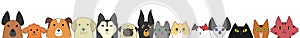 Dogs and cats banner