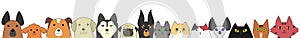 Dogs and cats banner photo