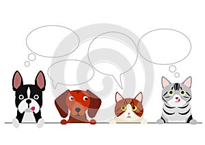 Dogs and Cats border with speech bubbles