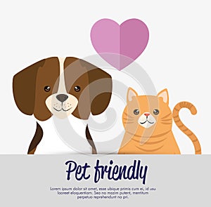Dogs and cats pets friendly