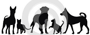 Dogs and cats silhouette on white background, isolated