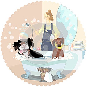 Dogs cleaner