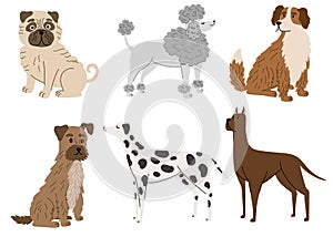 Dogs collection. Cartoon dogs of different breeds. Pet animal, cute puppy. Pug, poodle, Great Dane, Dalmatian.