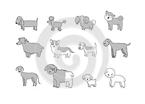 Dogs collection. Cute cartoon puppies of different breeds - Vector
