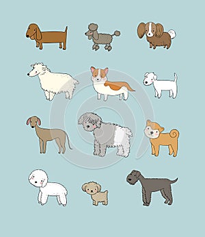 Dogs collection. Cute cartoon puppies of different breeds - Vector