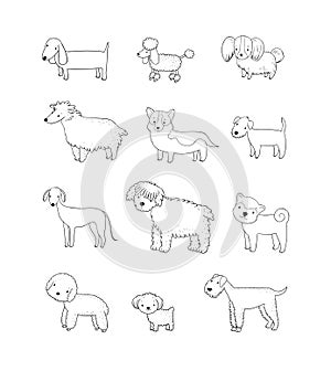 Dogs collection. Cute cartoon puppies of different breeds - Vector