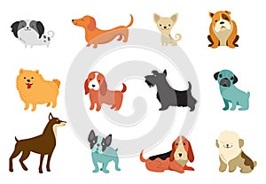 Dogs - collection of vector illustrations. Funny cartoons, different dog breeds, flat style