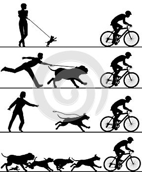 Dogs and cyclist photo