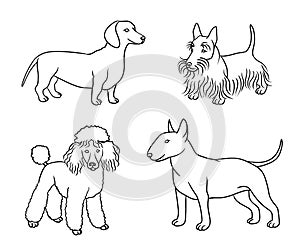 Dogs of different breeds in outlines set5 - vector illustration