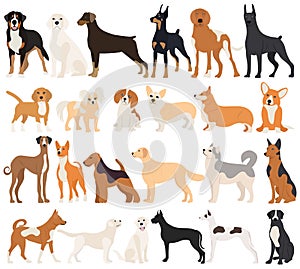 dogs of different breeds set, collection in flat design