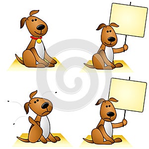 Dogs With Fleas and Signs