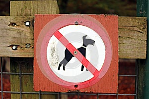 Dogs forbidden