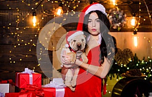 Dogs friendly concept. Animals rights. Little cutie. Sexy woman in santa hat hug puppy. Sensual girl in erotic lingerie